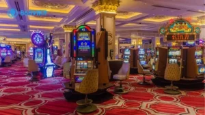 Giới thiệu chung về Nhà cái 868vip